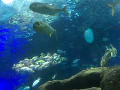 -大连圣亚海洋世界
