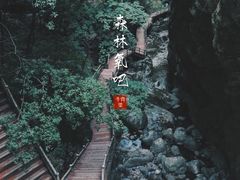 -牛背梁国家森林公园