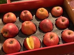 -云腾食府·云南菜