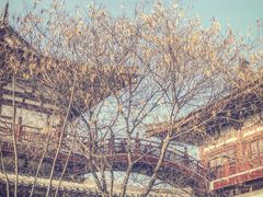 -西安青龙寺遗址景区