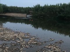 -杭州双溪漂流景区