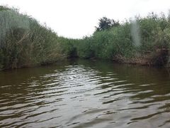 android_upload_pic-五甲塘生态湿地公园