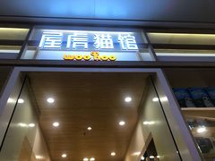 -屋虎猫馆(宝安大仟里店)