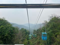 -野象谷景区