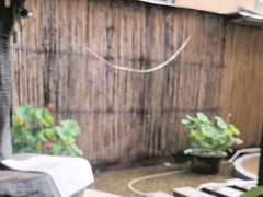 -忆江南·临江鱼馆