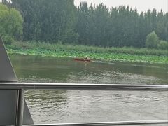 -微山湖红荷湿地景区