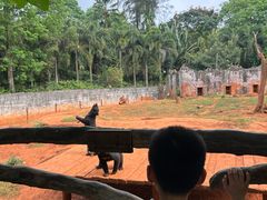 -海南热带野生动植物园