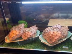 -麓湖国际水疗