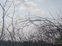 -白鹭湾湿地公园