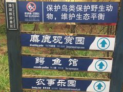 -溱湖国家湿地公园