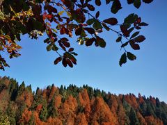 -山王坪喀斯特国家生态公园