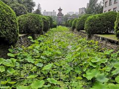 -四川大学(华西校区)