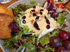 奶油芝士里科塔沙拉-LYFATTI 莱芙缇(赣水路店)