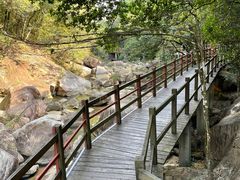 -广州白江湖森林公园