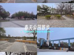 -太阳宫公园