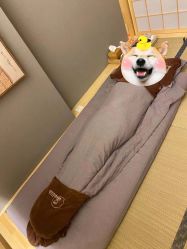 点击看大图 -姜美堂·蒸姜除湿の纤体美颜馆