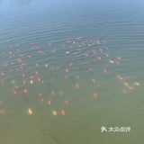 一个人邂逅横山花仙谷