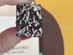 椰子脆片牛奶夹心巧克力-Laderach 莱德拉(上海环贸iapm店)