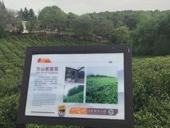 -南京市江宁方山