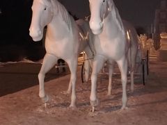 -长春公园(普阳街道)