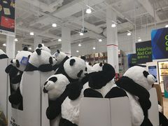 -海底捞火锅(龙岗星河COCO Park店)