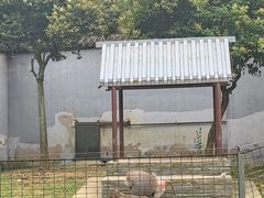 -扬州市茱萸湾风景区