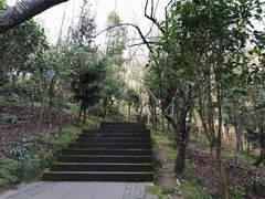 -凤栖山