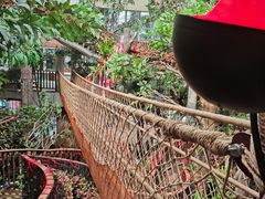 -正佳雨林生态植物园