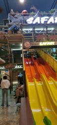 -卡通尼·Safari非洲探索乐园·生日会(金桥国际商业广场店)