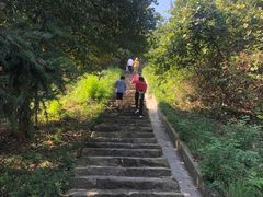 -冶父山国家森林公园