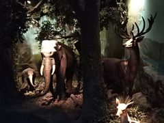 -嘉定博物馆