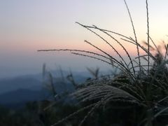 -东白山