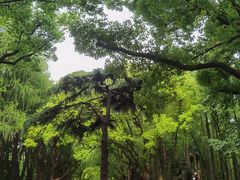 -共青国家森林公园-售票处