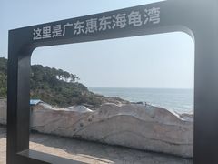-广东惠东海龟国家级自然保护区