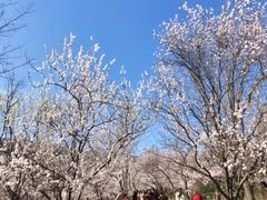 -北京植物园南门售票处