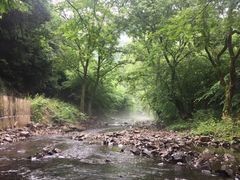 -水墨汀溪风景区