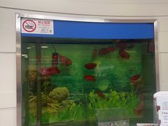 -雅悦齿科(顾村公园店)