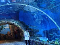 -华夏文旅海洋公园