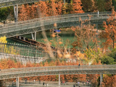 -梅峰山地公园