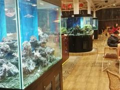 -御唐府海珊瑚主题餐厅