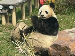 -苏州太湖国家湿地公园