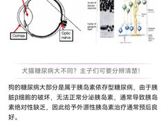 -瑞派申生动物医院·24H夜诊·国际动物医疗中心·骨外科(吴中路店)