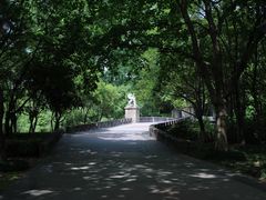 -蠡湖中央公园