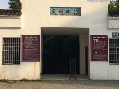 iphone_upload_pic-天柱山风景区