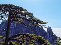 -黄山风景区
