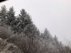-太子岭滑雪场