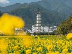 -婺源风景区