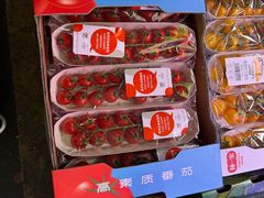 -海吉星国际农产品物流管理有限公司