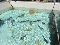 -钰田大院·怀柔地道农家菜·烤虹鳟鱼(雁栖湖店)