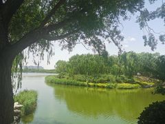 -大兴滨河森林公园